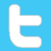 File:Twitter icon.jpg